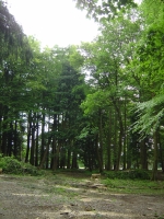 2012-06-05 064